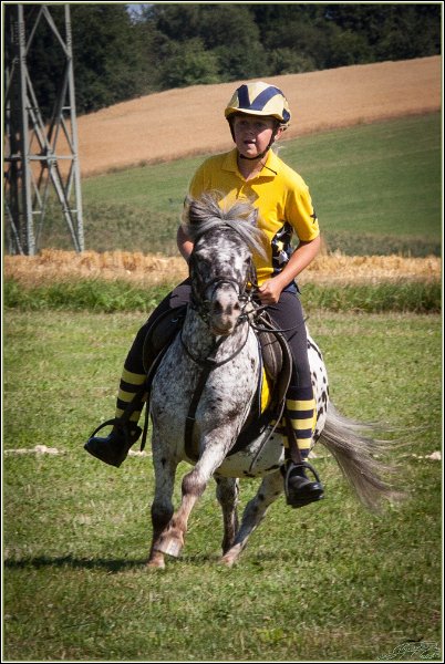 Mounted Games 010